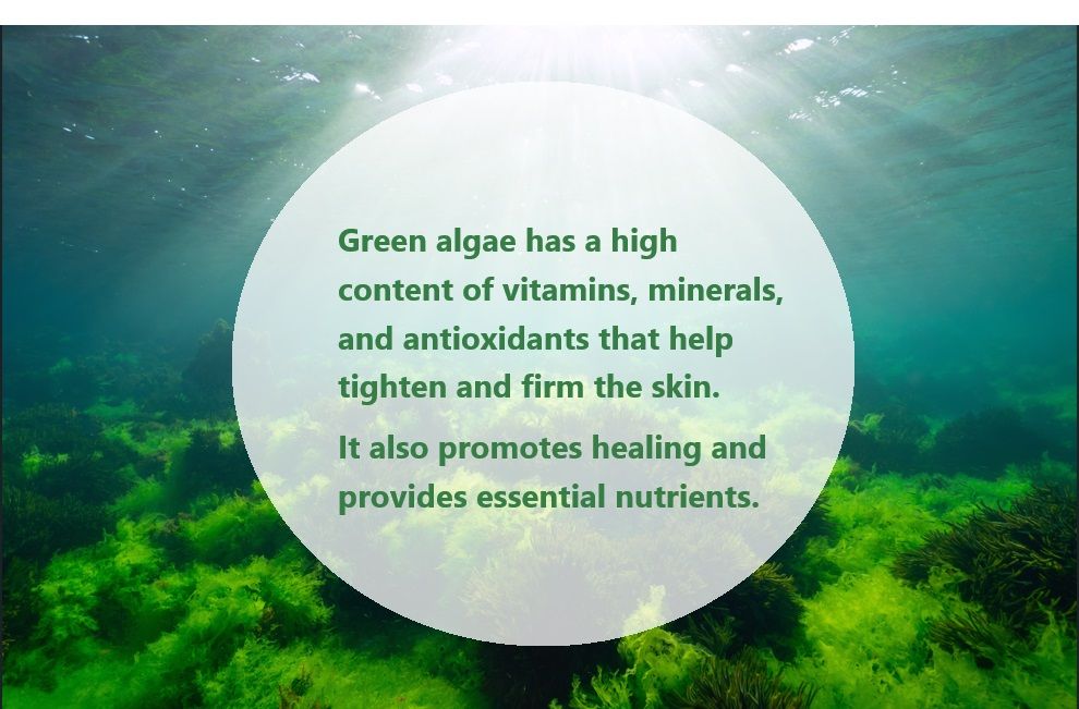 Green algae has a high content of vitamins, minerals, and antioxidants that help tighten and firm the skin.It also promotes healing and provides essential nutrients.